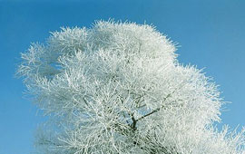 DDOS在线压力测试